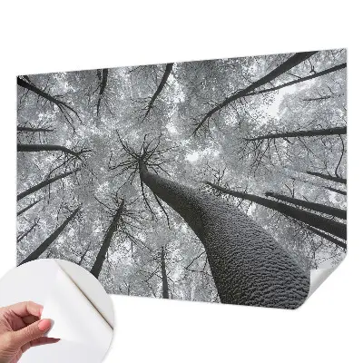 Papel mural texturado decorativo con un motivo de paisaje invernal