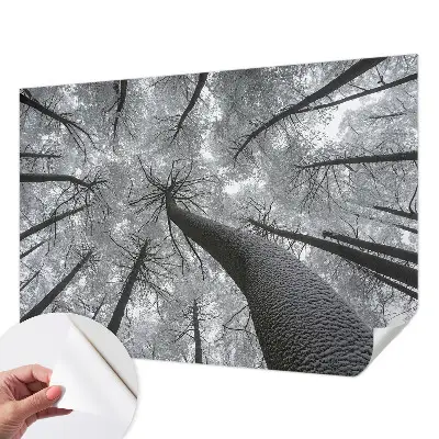 Papel mural texturado decorativo con un motivo de paisaje invernal