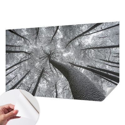 Papel mural texturado decorativo Paisaje invernal