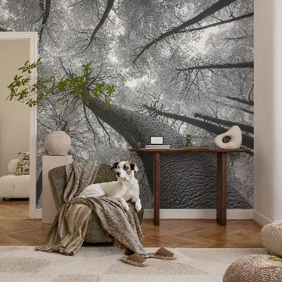 Papel mural texturado decorativo con un motivo de paisaje invernal