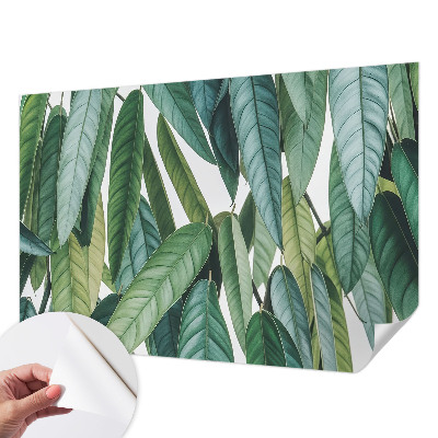 Papel mural con patrón decorativo con motivo de hojas naturales