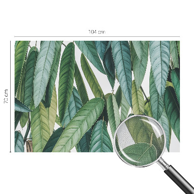 Papel mural con patrón decorativo hojas naturales