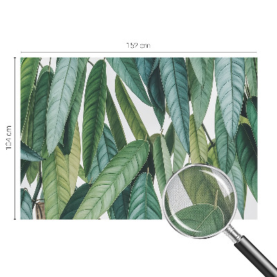 Papel mural con patrón decorativo hojas naturales