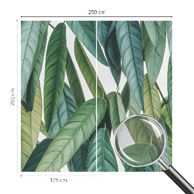 Papel mural con patrón decorativo hojas naturales