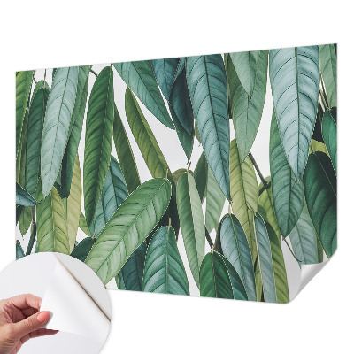 Papel mural con patrón decorativo con motivo de hojas naturales