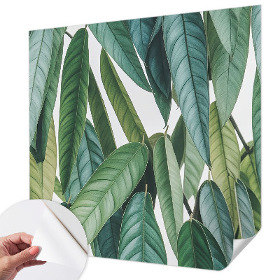 Papel mural con patrón decorativo con motivo de hojas naturales