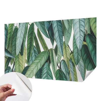Papel mural con patrón decorativo con motivo de hojas naturales