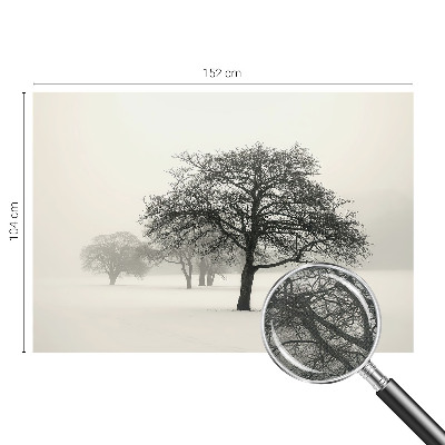 Fotomural decorativo para cabecero de cama Árboles de invierno