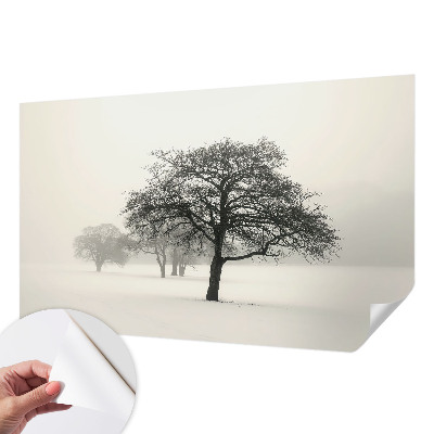 Fotomural decorativo para cabecero de cama Árboles de invierno