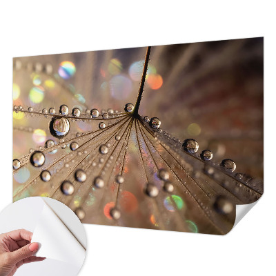 Fotomural decorativo para cabecero de cama gotas de perlas