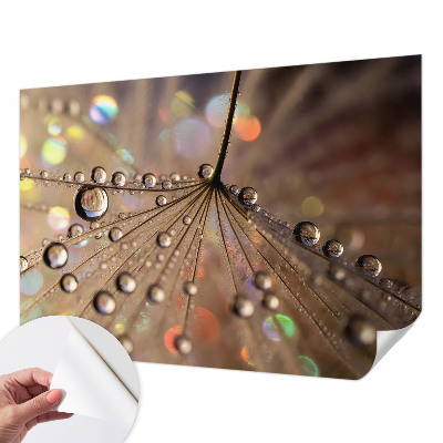 Fotomural decorativo para cabecero de cama gotas de perlas