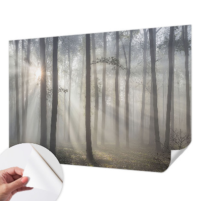 Mural de pared con estampado hermoso Bosque etéreo