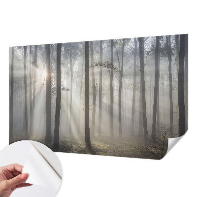 Mural de pared con estampado hermoso Bosque etéreo