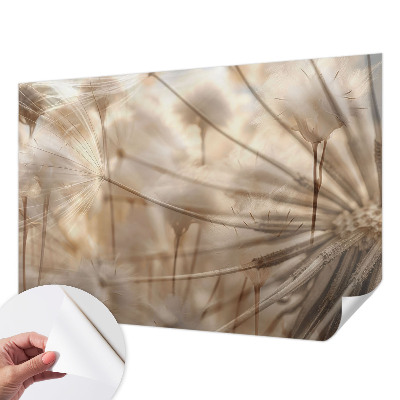 Papel mural texturado decorativo Dientes de león sutiles