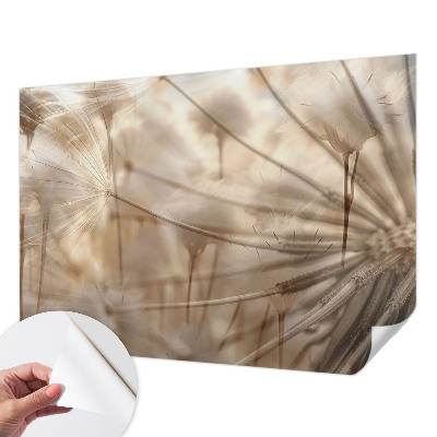 Papel mural texturado decorativo Dientes de león sutiles