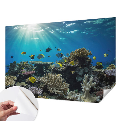 Papel mural con patrón decorativo mundo submarino