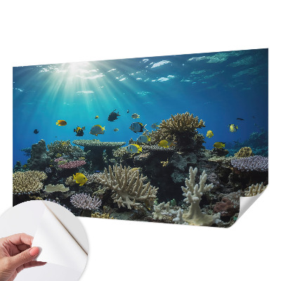Papel mural con patrón decorativo con motivo de mundo submarino