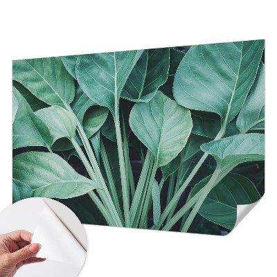 Fotomural decorativo para cabecero de cama con motivo de naturaleza en tonos verdes