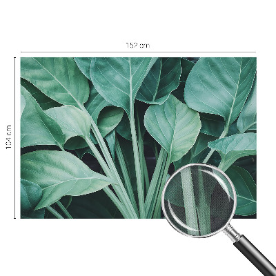 Fotomural decorativo para cabecero de cama Naturaleza verde