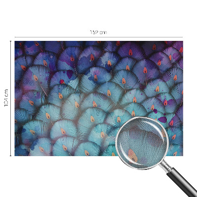 Papel mural con patrón decorativo Plumas coloridas