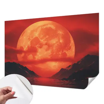 Mural de pared con estampado hermoso con diseño llamado «Fenómeno nocturno»