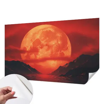 Mural de pared con estampado hermoso con diseño llamado «Fenómeno nocturno»