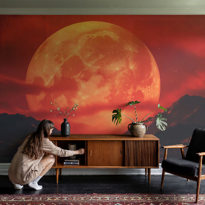 Mural de pared con estampado hermoso Fenómeno nocturno