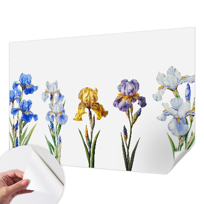 Papel mural con patrón decorativo con diseño de flores de iris
