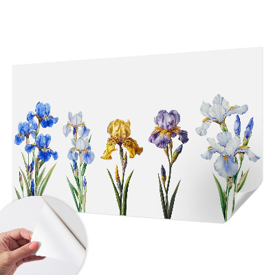 Papel mural con patrón decorativo con diseño de flores de iris