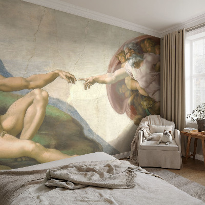 Fotomural decorativo para cabecero de cama contacto espiritual