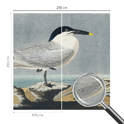 Papel mural texturado decorativo Elegancia ornitológica