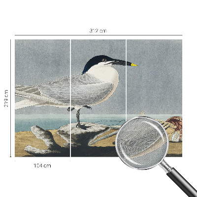 Papel mural texturado decorativo Elegancia ornitológica