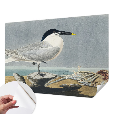 Papel mural texturado decorativo con un diseño de elegancia ornitológica