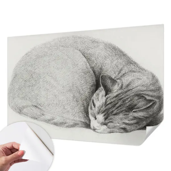 Papel mural texturado decorativo con diseño de un gato acurrucado