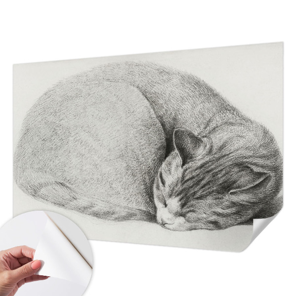 Papel mural texturado decorativo Gato acurrucado