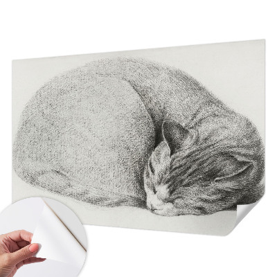 Papel mural texturado decorativo con diseño de un gato acurrucado