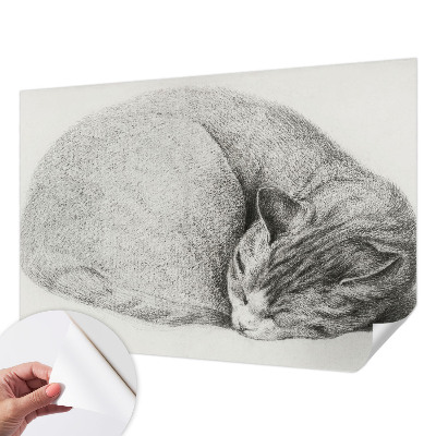 Papel mural texturado decorativo Gato acurrucado