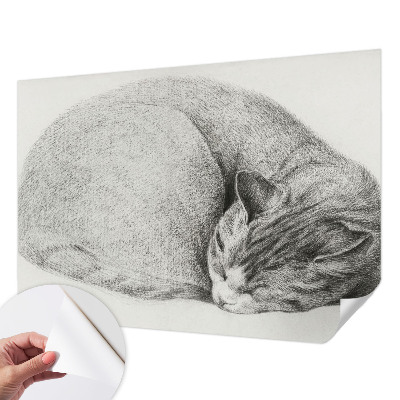Papel mural texturado decorativo Gato acurrucado