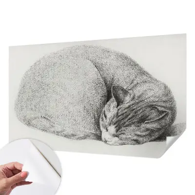 Papel mural texturado decorativo con diseño de un gato acurrucado