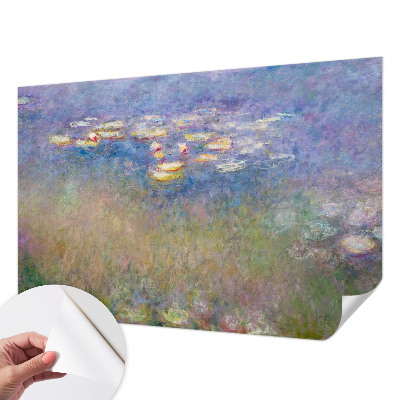 Mural de pared con estampado hermoso Nenúfares