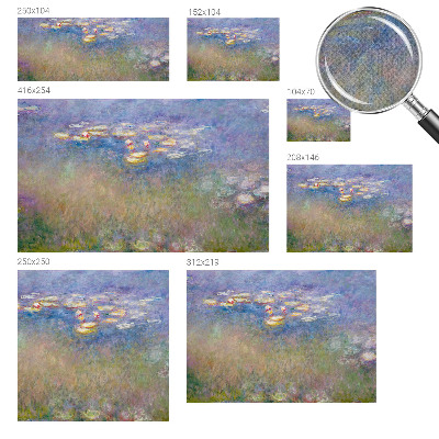 Mural de pared con estampado hermoso Nenúfares