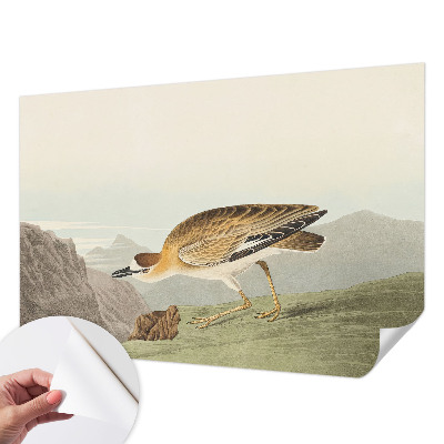 Mural de pared con estampado hermoso Ave de montaña