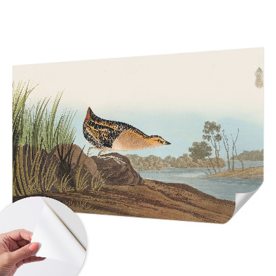Papel mural texturado decorativo Escena natural