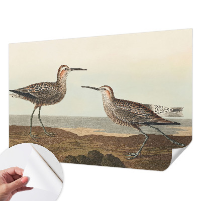 Fotomural decorativo para cabecero de cama con siluetas de pájaros