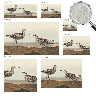 Fotomural decorativo para cabecero de cama Siluetas de pájaros