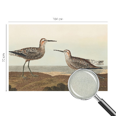 Fotomural decorativo para cabecero de cama Siluetas de pájaros