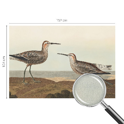 Fotomural decorativo para cabecero de cama Siluetas de pájaros