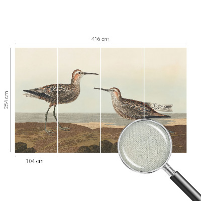 Fotomural decorativo para cabecero de cama Siluetas de pájaros