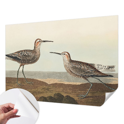 Fotomural decorativo para cabecero de cama con siluetas de pájaros