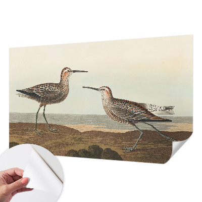 Fotomural decorativo para cabecero de cama con siluetas de pájaros